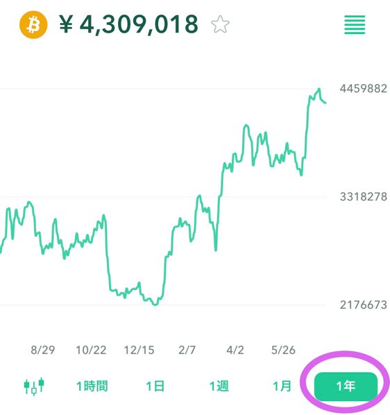 ビットコイン1年分の値動き